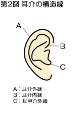 耳介認証