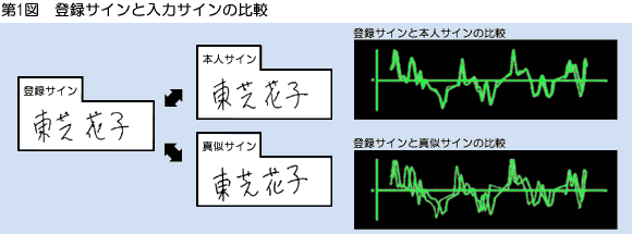 o^TCƓ̓TC̔r